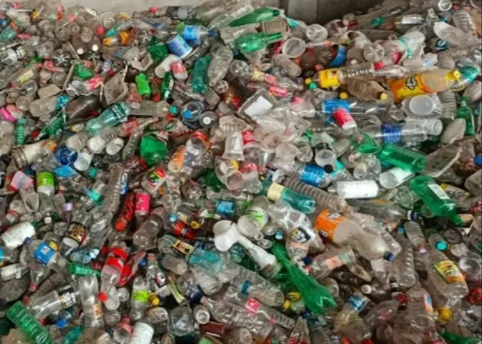 Pet Bottle Scrap